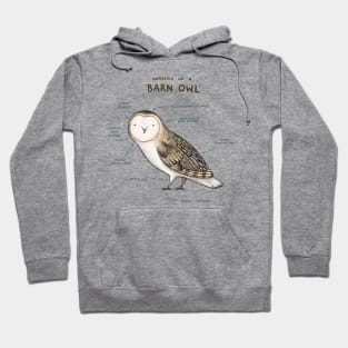 Anatomy of a Barn Owl Hoodie